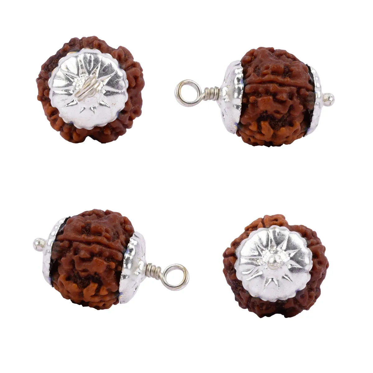 7 Mukhi Rudraksha Beads with Silver Cup - 1.3 Inches | Seven Face Nepali Rudraksh Bead for Men & Women