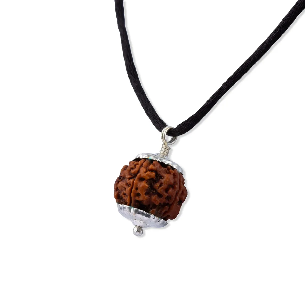 7 Mukhi Rudraksha Beads with Silver Cup - 1.3 Inches | Seven Face Nepali Rudraksh Bead for Men & Women