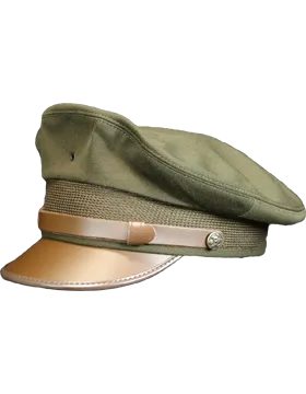 AGSU Service Hat