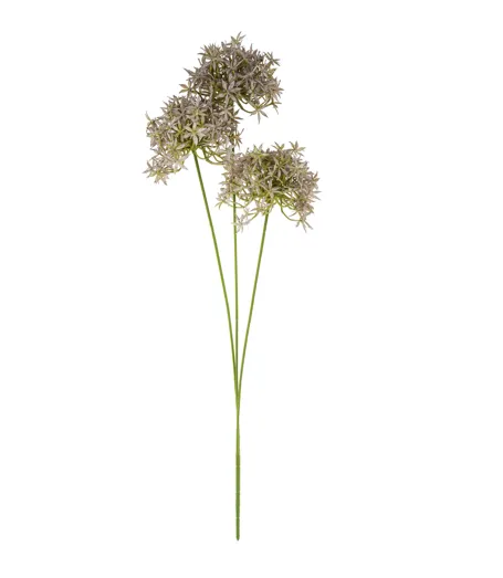 Allium Floral Spray