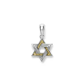 Anthem Small Two-Tone Star of David Amulet