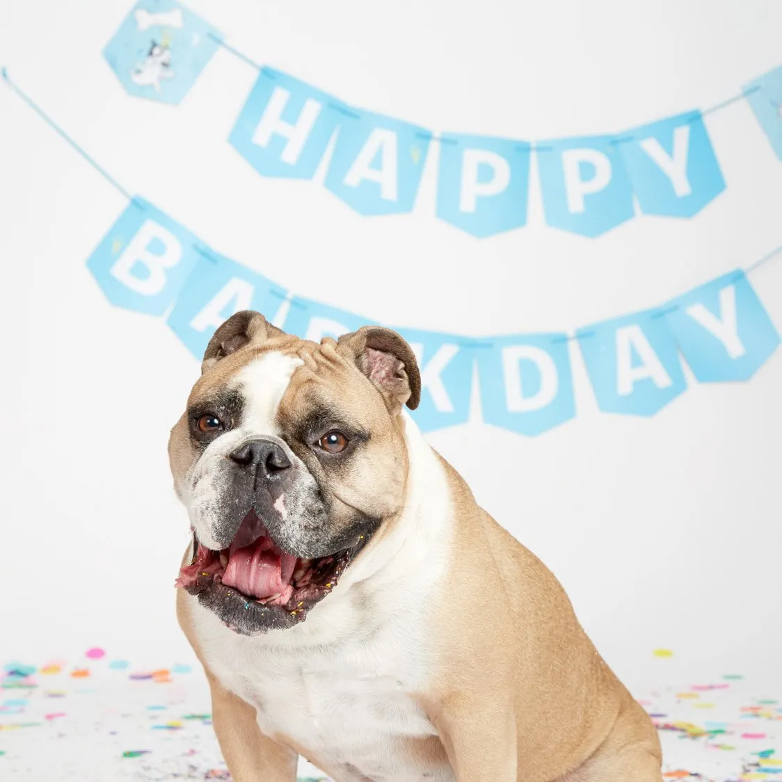 Happy Barkday! Banner