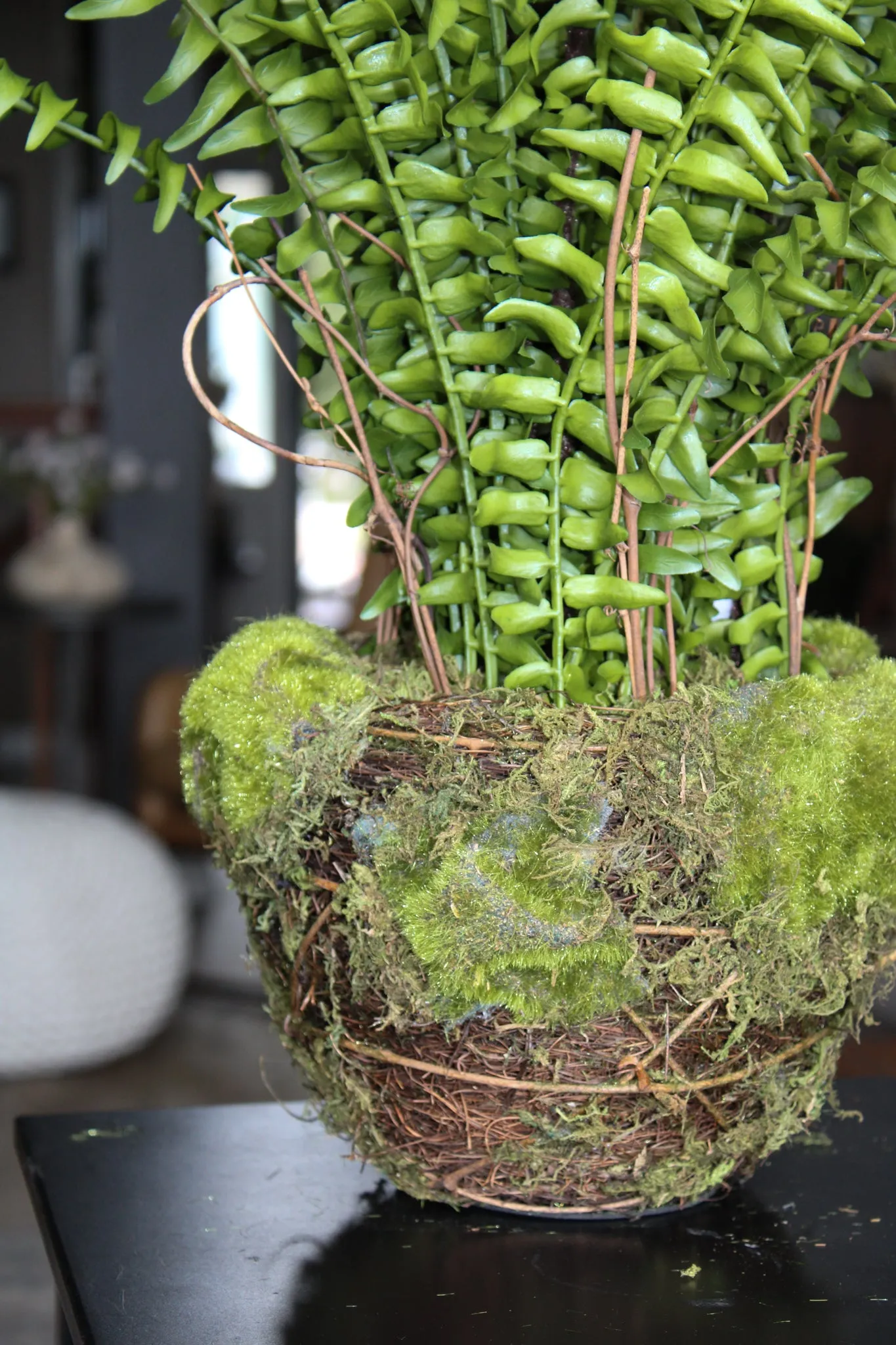 Large Fern in Moss and Twig Basket