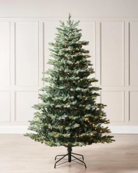 Pre-Lit Colorado Blue Spruce Christmas Tree, 7 ft