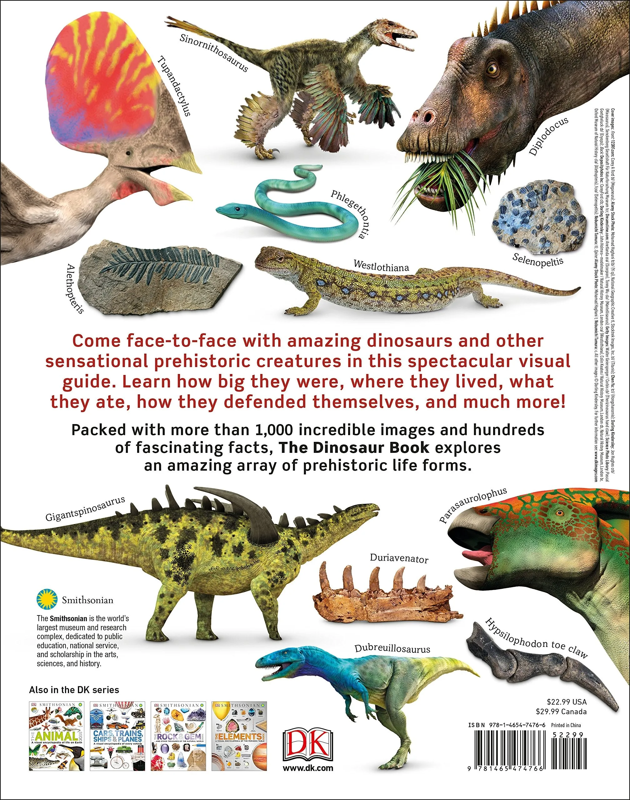 The Dinosaur Book